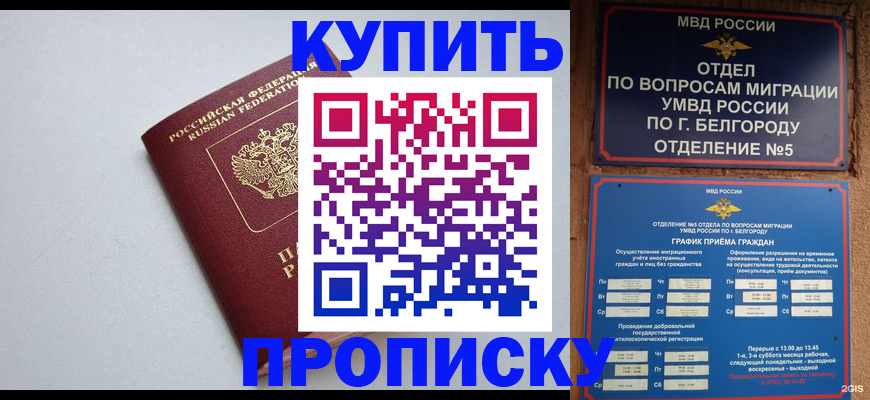 прописка регистрация в Ленинградской области